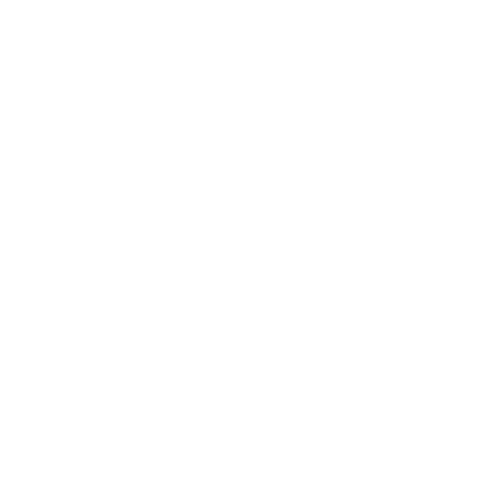 Vulpes Solutions Techology Vulpes Solutions Techology